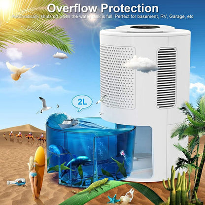 Portable Dehumidifier (2000ml) with drain hose for 480 Sq.ft, for Basements Bedroom Bathroom RV